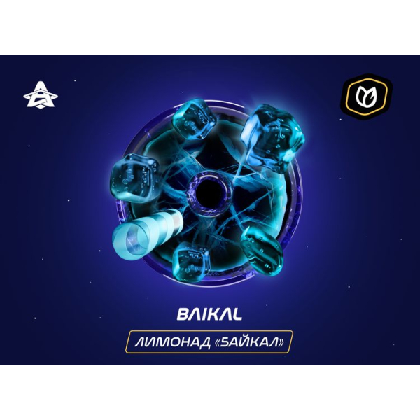 Паста Space Smoke Tobacco Baikal 30 гр в Екатеринбурге