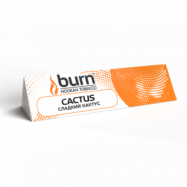 Табак BURN CACTUS 25 грамм в Екатеринбурге