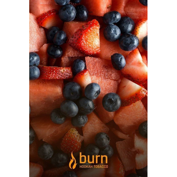 Табак Burn Berried Treasure 100 грамм в Екатеринбурге