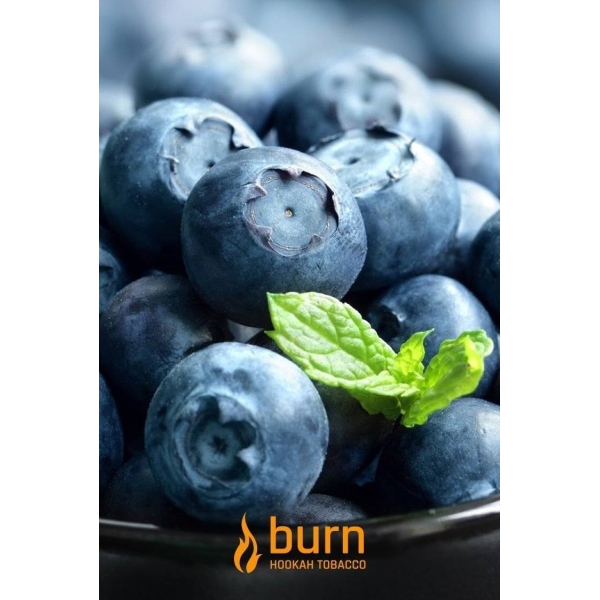 Табак Burn Blueberry Mint 100 грамм в Екатеринбурге
