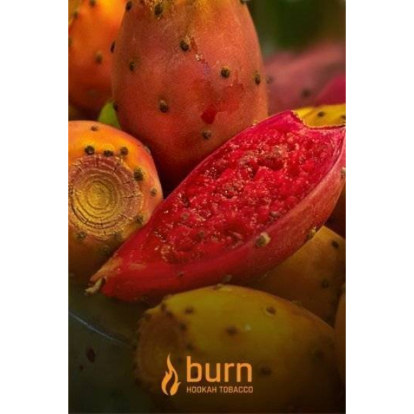 Табак Burn Cactus 100 грамм в Екатеринбурге