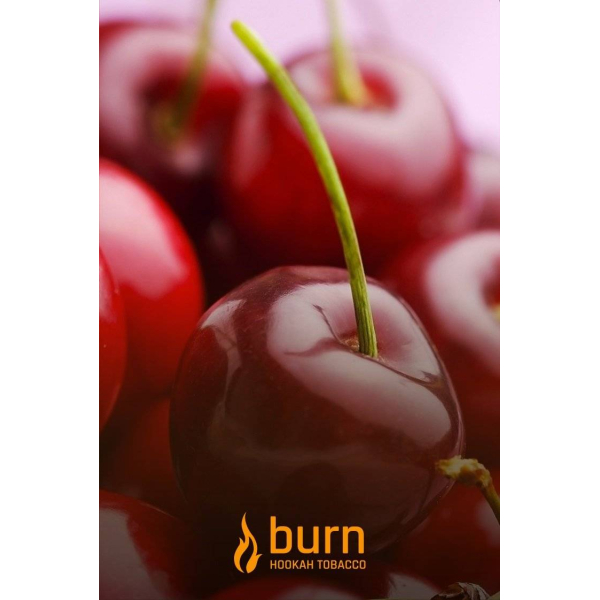 Табак Burn Candy Cherry 100 грамм в Екатеринбурге