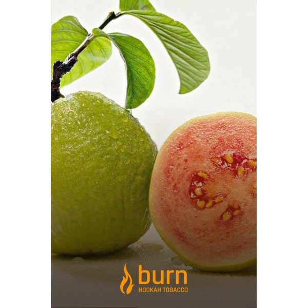 Табак Burn Guava 100 грамм в Екатеринбурге