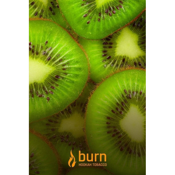Табак Burn Kiwi 100 грамм в Екатеринбурге