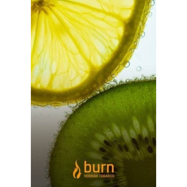 Табак Burn Kiwi Lemon 100 грамм в Екатеринбурге