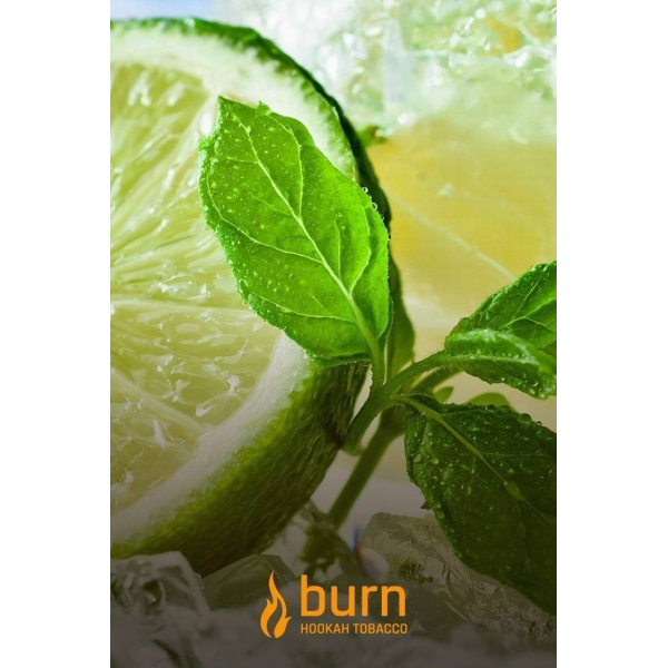 Табак Burn Lemon Mint 100 грамм в Екатеринбурге