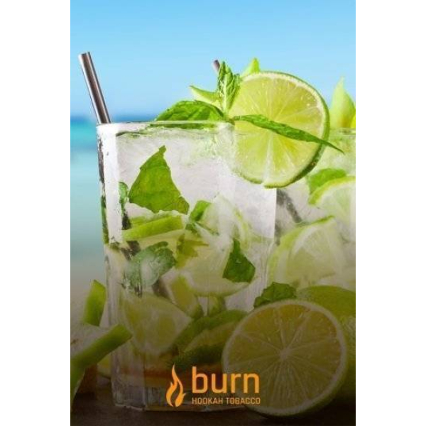 Табак Burn Mojito 100 грамм в Екатеринбурге