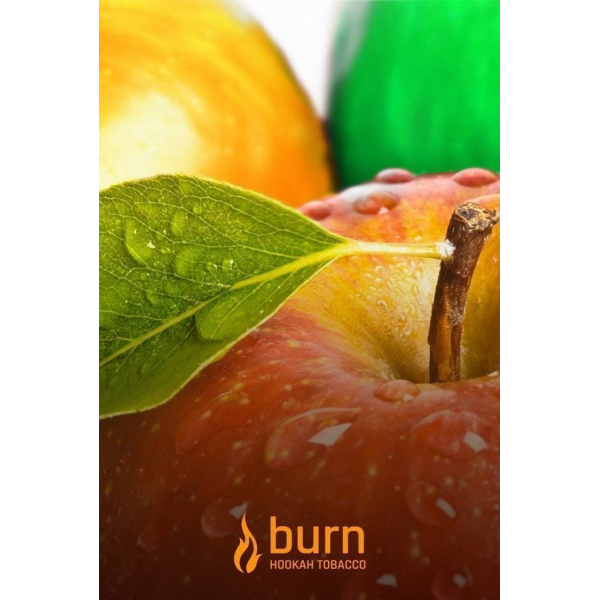 Табак Burn Three Apples 100 грамм в Екатеринбурге