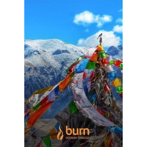 Табак Burn Tibet 100 грамм в Екатеринбурге