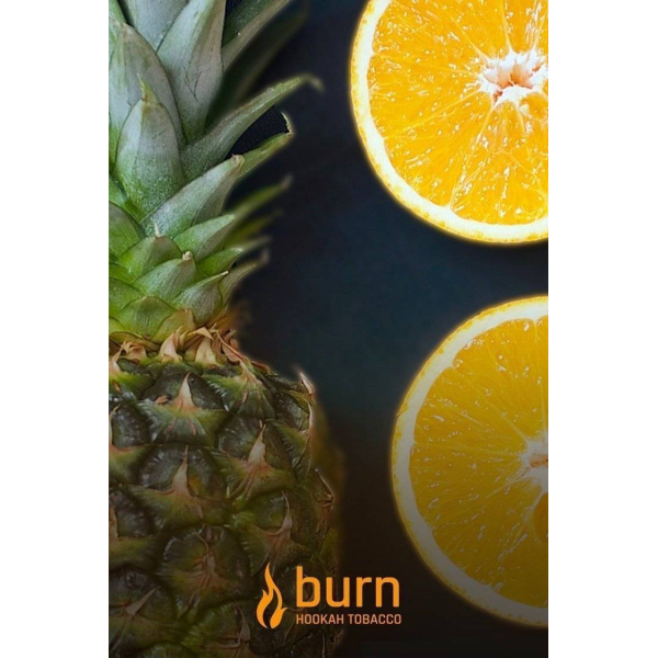 Табак Burn White Night 100 грамм в Екатеринбурге