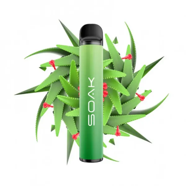 SOAK X Aloe Vera (Алое Вера), 1500 тяг в Екатеринбурге