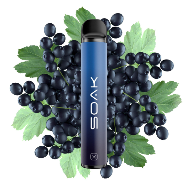 SOAK X Forest Blackcurrant (Лесная черная смородина), 1500 тяг в Екатеринбурге
