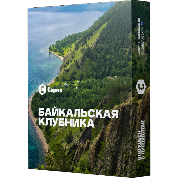 Табак Сарма Байкальская Клубника 25 гр в Екатеринбурге