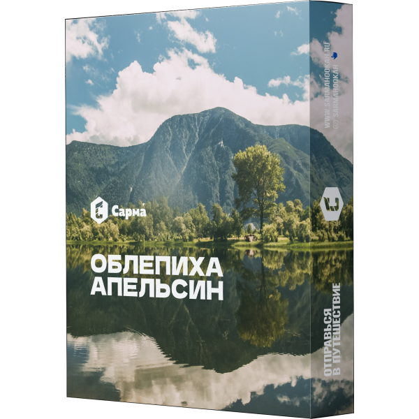 Табак Сарма Облепиха Апельсин 25 гр в Екатеринбурге