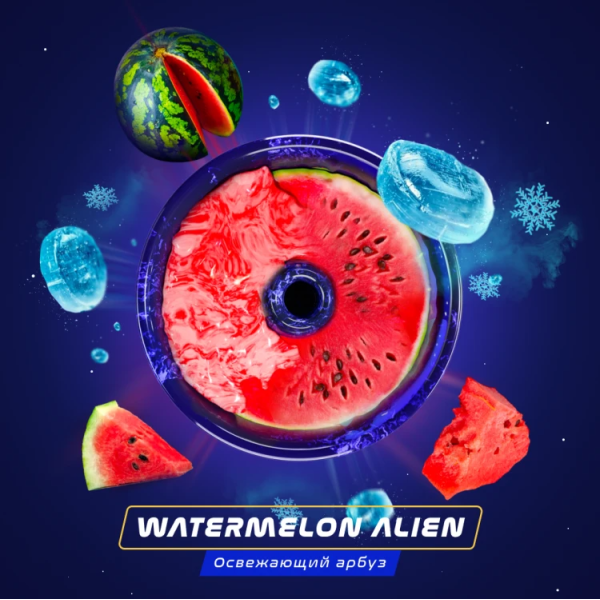 Паста Space Smoke BASIC Watermelon  Alien (Арбуз с  холодком) 125 гр в Екатеринбурге