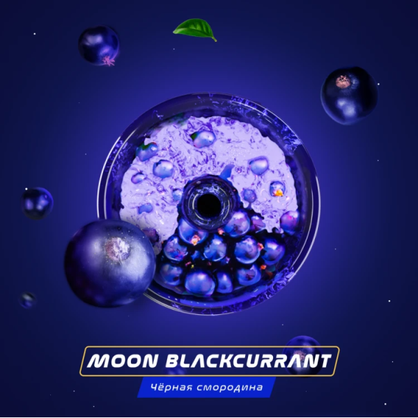 Паста Space Smoke BASIC Moon  Blackcurrant (Черная  смородина) 30 гр в Екатеринбурге