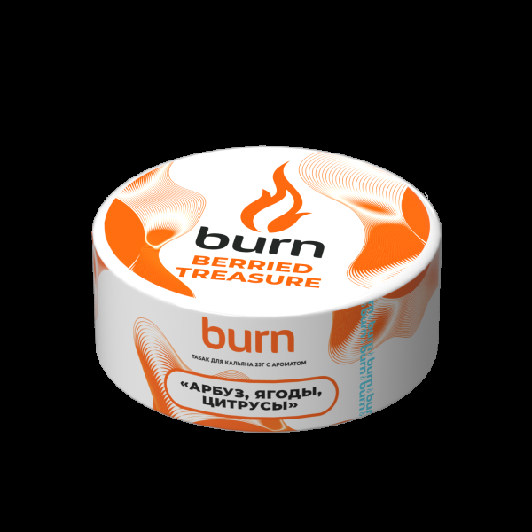 Табак Burn Berried Treasure  25 грамм в Екатеринбурге